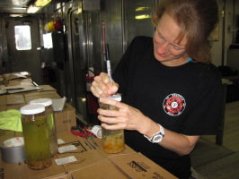 Kim labeling a sample