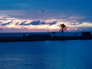 Sunset at port - Key West