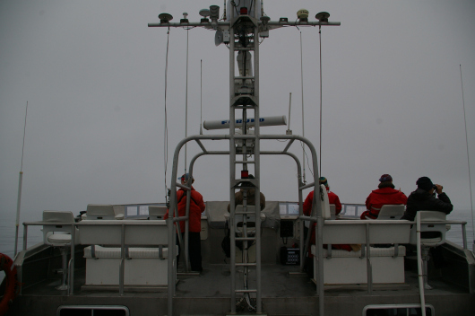 Many hours are spent perched atop the flying bridge when marine mammal and bird observations take place.