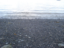 A black sand beach on the Kodiak Coast Guard Base.