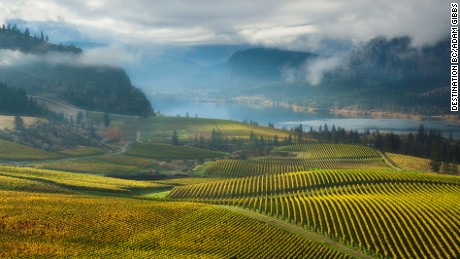 View of vineyards and Vaseux Lake from Blue Mountain Winery in the Okanagan Valley Adam Gibbs