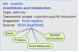 Thumbnail image showing the types of data you can obtain for a metabolic pathway in the NCBI BioSystems database, including genes, proteins, small molecules, and related biosystems.  Click on the image to open the live BioSystems record for human arachidonic acid metabolism and explore the links to the gene, protein, chemical, and literature databases.
