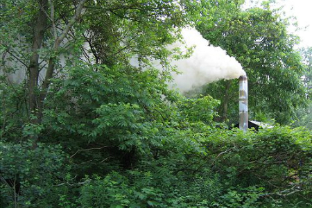 Outdoor wood boiler stack emitting smoke in dense green vegetation