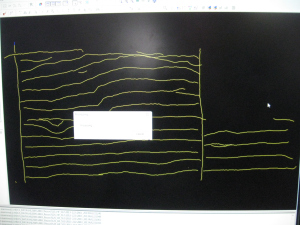 Here is an example of some lines of data that have been added into the processing software.  