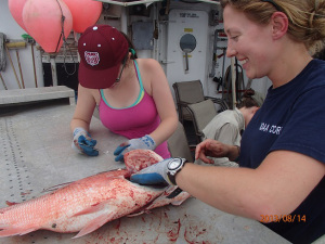 During some free time away from her NOAA Corps duties, ENS Rachel Pryor would sometimes help the day shift. Here she teaches Micayla how to remove otoliths.