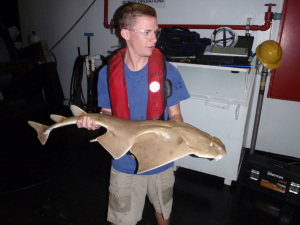 David holds an Angel Shark caught on the last haul back. (photo courtesy of David Seay)