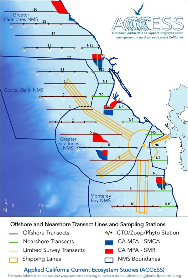 ACCESS Transect Lines