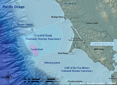Cordel Bank National Marine Sanctuary