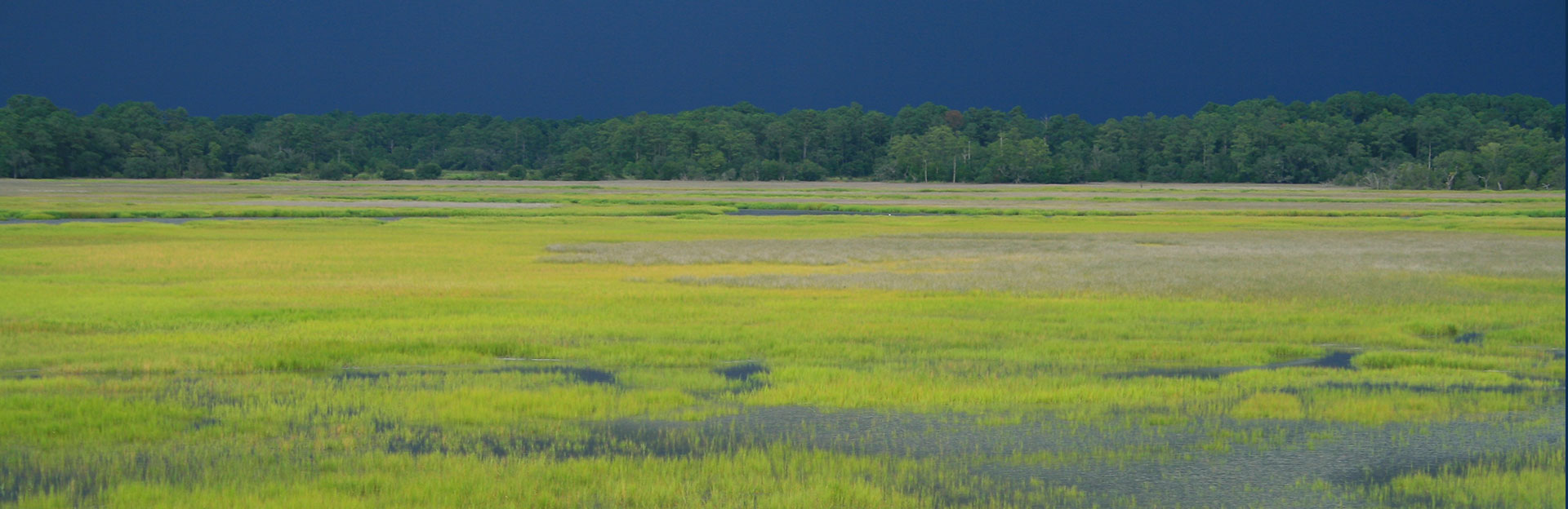 Ace Basin National Estuarine Research Reserve