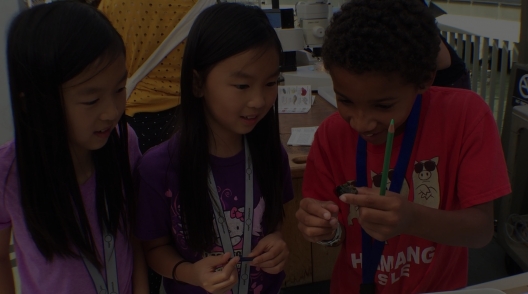 Exploratorium visitors examine marine life collected from NOAA's pCO2 buoy.