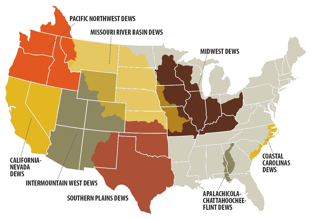 DEWS Map