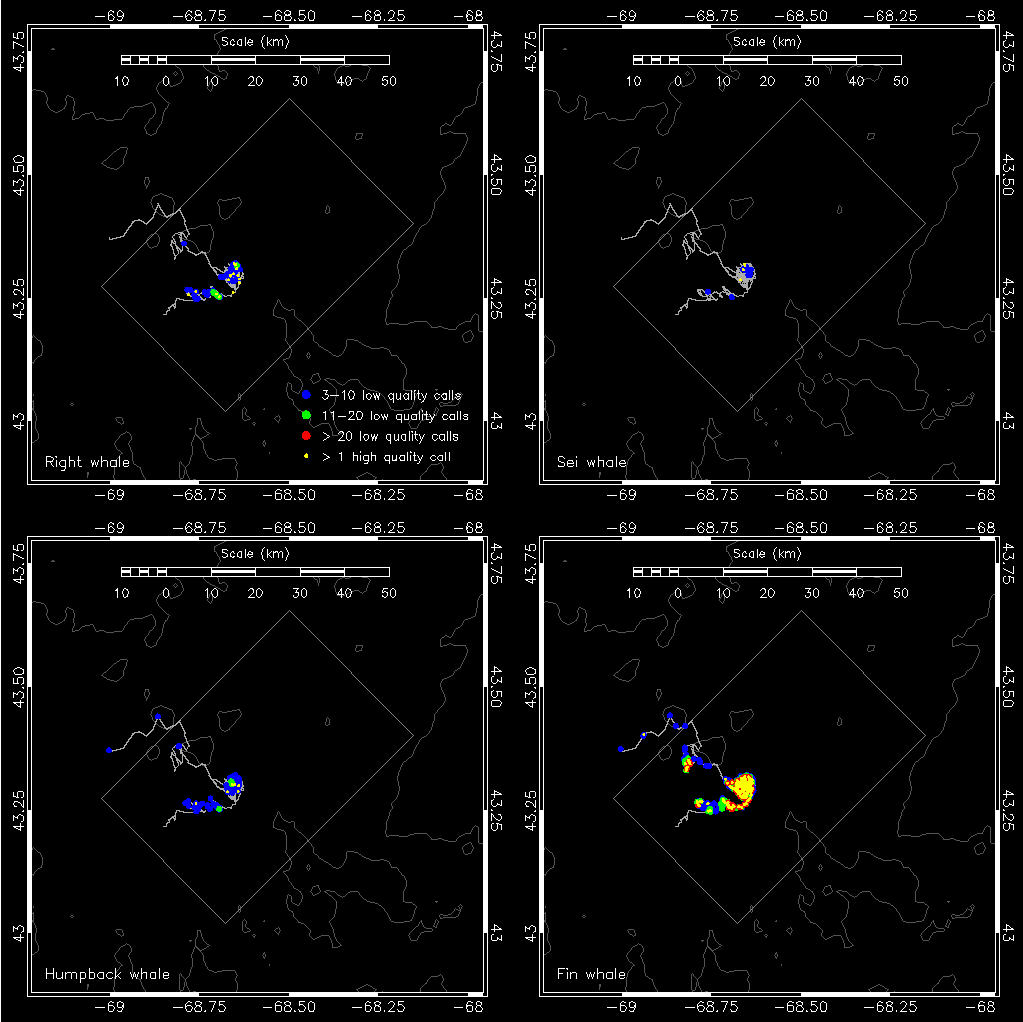 acoustic detections