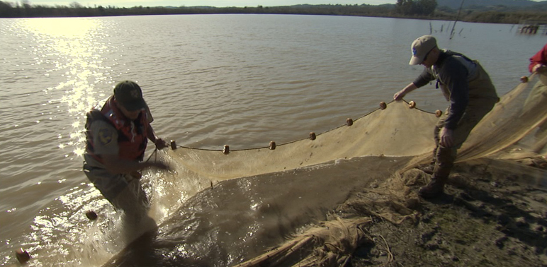 New Video—From Gravel Pits to Salmon Habitat