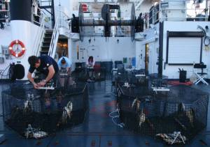 Science team adjusts camera-trap arrays on stern deck