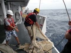 Retrieving the trawl