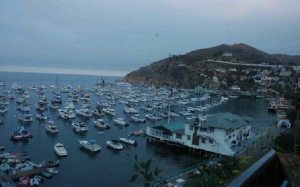 Harbor at Avalon, Santa Catalina Island, California. The former Wrigley house is the one that sits highest on the mountain in the photo. 