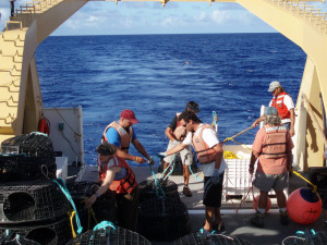 Maggie Flanagan, scientists, and ship’s crew work together to set lobster traps