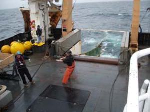 The fishing and deck crew of the OSCAR DYSON release the net for a trawl sample.