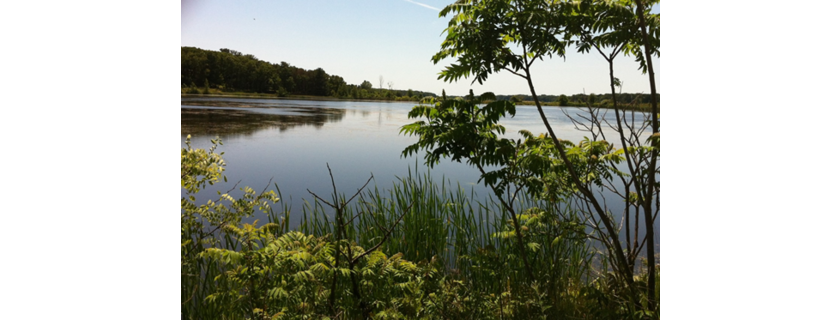 Muskegon Lake AOC.  Photo credit:  Liz Mountz.