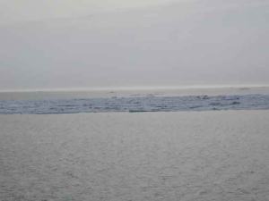 Waves and an ice floe on the Bering Sea. 