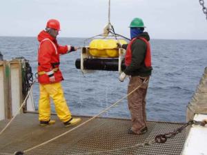Crewmembers retrieve a marine mammal listening device from the water. 