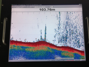 Red - seafloor Bluish dots above - fishes!