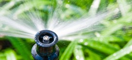 Are you overwatering your yard?
