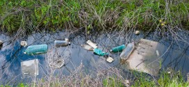 10 Things You Can Do to Prevent Stormwater Runoff Pollution