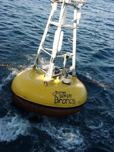 Broncs buoy deployed!