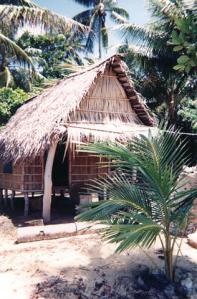Peace Corps hut
