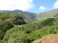 View from the Maunawili Trail