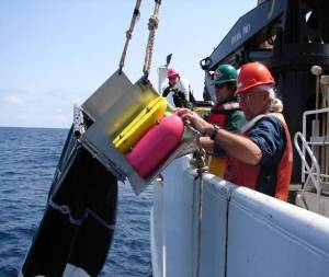 NOAA TAS Scott Donnelly (green helmet)  retrieving a Manta net 