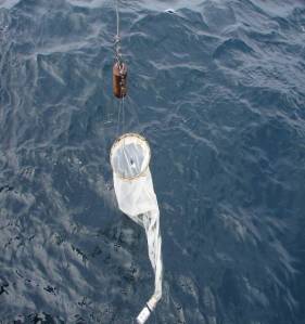 Manta net skimming the surface for zooplankton