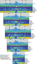 Figure 1 : Chromosomal distribution of the main Brachypodium genome features. Unfortunately we are unable to provide accessible alternative text for this. If you require assistance to access this image, or to obtain a text description, please contact npg@nature.com