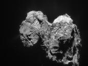 Comet on 28 January 2016 – NavCam
Credit: ESA/Rosetta/NAVCAM – CC BY-SA IGO 3.0