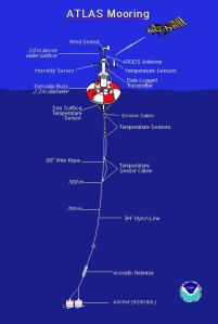 This figure shows all the instrumentation attached to the buoy. 