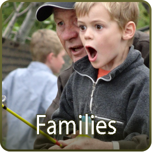 families box image