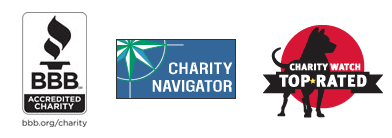 BBB, Charity Navigator, Charity Watch endorsements