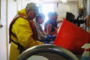 Glenn Rountree (left) and I sorting the animals in our buckets 