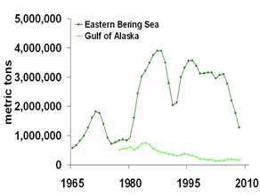 A graph showing the adult walleye pollock biomass estimates from 1965 to 2008. 