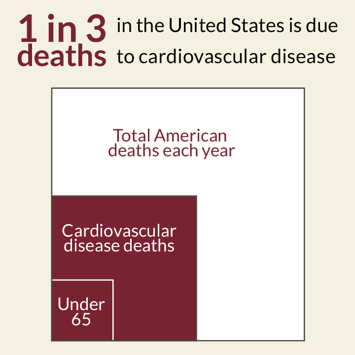 1 in 3 deaths in the United States is due to cardivascular disease