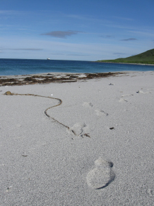 My footsteps on the beach at Chernabura Island.  It's crazy to think how few people have walked on this land.