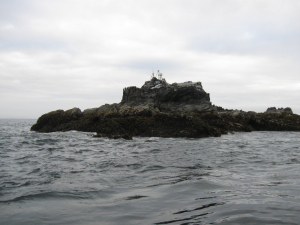 The tide station that the Rainier crew installed on Bird Island.