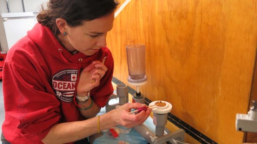 Jessica removing the filter with sterilized tweezers to place into a labeled petridish. Photo by: DJ Kast