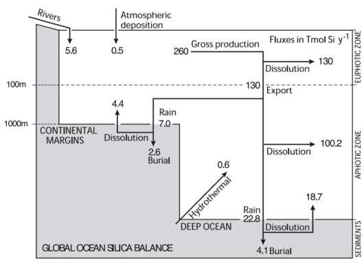 Marine Silica Cycle by Sarmiento and Gruber 2006