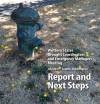 cover of report shows dried out lawn with weeds and rusted fire hydrant