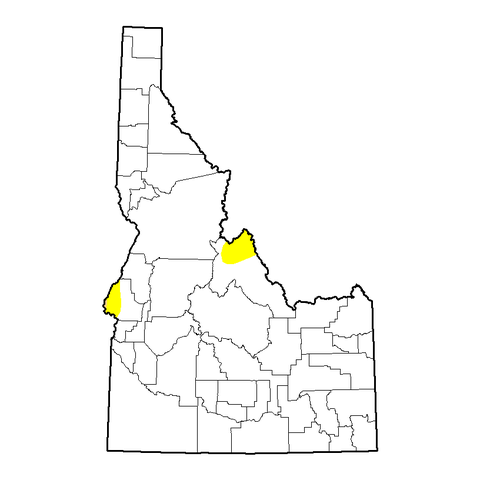 U.S. Drought Monitor - Idaho