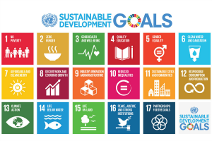 The Sustainable Development Goals (SDGs) and Indigenous