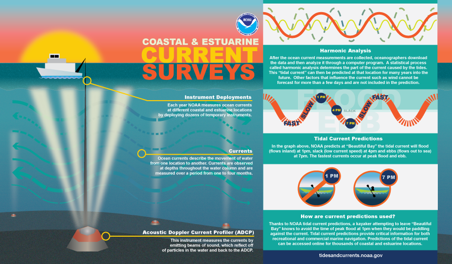 NOAA Dives into Puget Sound for the summer.