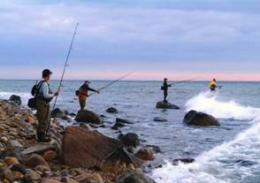 surf casting is popular along Long Island's shores